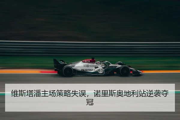 wei-si-ta-pan-zhu-chang-ce-lve-shi-wu-nuo-li-si-ao-di-li-zhan-ni-xi-duo-guan-3-943.jpg